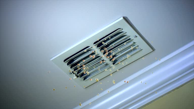 Best HVAC Maintenance and Cleaning  in Aquia Harbour, VA